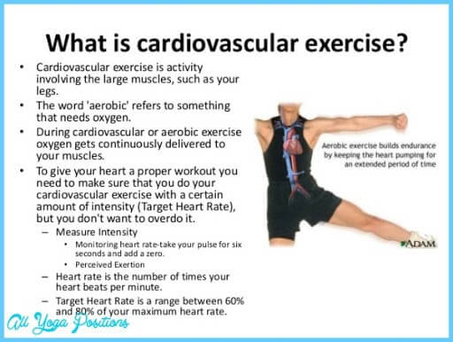 Cardiovascular Endurance - Exercise